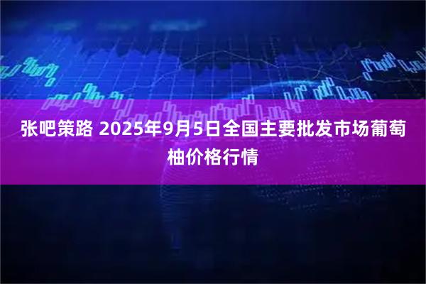 张吧策路 2025年9月5日全国主要批发市场葡萄柚价格行情