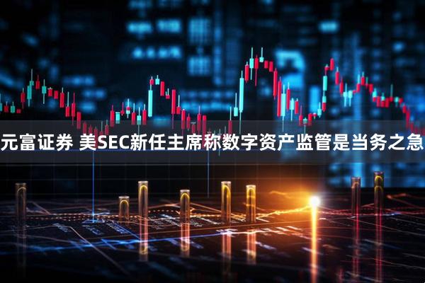 元富证券 美SEC新任主席称数字资产监管是当务之急