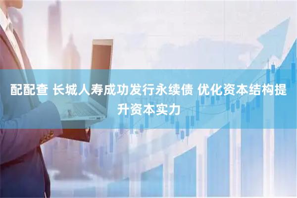 配配查 长城人寿成功发行永续债 优化资本结构提升资本实力