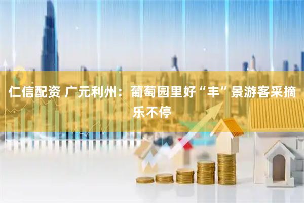 仁信配资 广元利州：葡萄园里好“丰”景游客采摘乐不停
